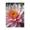 Bloom of Serenity Premium Matte Wall Art Poster 18″ x 24″ (Vertical)