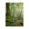 Whispers of the Mossy Stream Premium Matte Wall Art Poster 18″ x 24″ (Vertical)