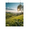 Emerald Dawn Premium Matte Wall Art Poster 18″ x 24″ (Vertical)