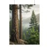 Sentinel Pines Premium Matte Wall Art Poster 18″ x 24″ (Vertical)