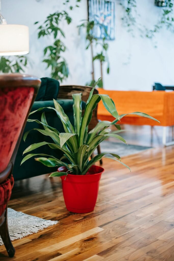 Green Companions: The Wellness Magic of Houseplants 1