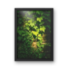Ivy in Golden Sunlight Premium Matte Wall Art Poster 18″ x 24″ (Vertical)
