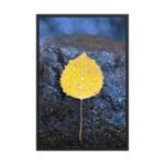 Hand-Selected Autumnal Framed Matte Art Print – 24" × 36"