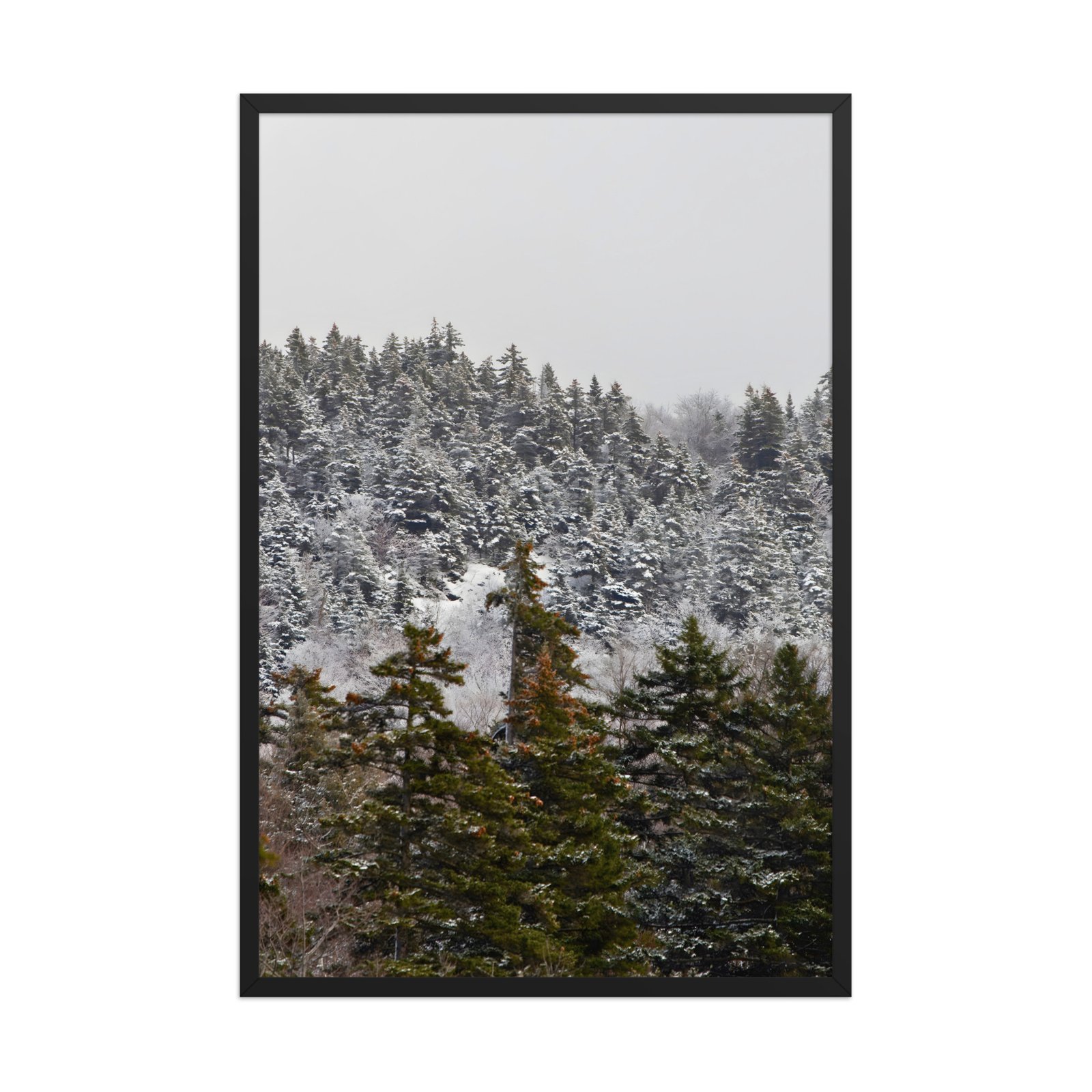 enhanced-matte-paper-framed-poster-in-black-24x36-front-69d314deb10f6.jpg Winter’s First Whisper Framed Matte Art Print – 24" × 36" - Image 1