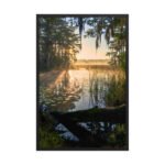 Cypress Sunrise Framed Matte Art Print – 24" × 36"
