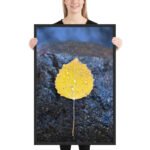 Hand-Selected Autumnal Framed Matte Art Print – 24" × 36" - Image 2