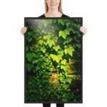 Sunlit Ivy Cascade Framed Matte Art Print – 24" × 36" - Image 2