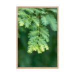 Emerald Whispers Framed Matte Art Print – 24" × 36" - Image 3