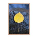 Hand-Selected Autumnal Framed Matte Art Print – 24" × 36" - Image 3