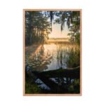 Cypress Sunrise Framed Matte Art Print – 24" × 36" - Image 3