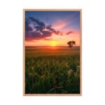 Radiant Sunset Meadow Framed Matte Art Print – 24" × 36" - Image 3