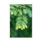 Emerald Whispers Framed Matte Art Print – 24" × 36" - Image 4