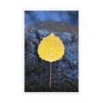 Hand-Selected Autumnal Framed Matte Art Print – 24" × 36" - Image 4