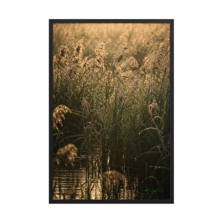 enhanced matte paper framed poster in black 24x36 front 69f5529c6f603