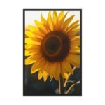 Golden Radiance Framed Matte Nature Fine Art Print — 24" × 36"