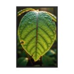 Emerald Veins A Golden Hour Masterpiece Framed Matte, Nature Art Print — 24" × 36"