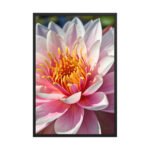 Petals of Light | Framed Matte, Nature Art Print - 24" × 36"