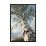 Silver Birch Tree | Framed Matte, Nature Art Print - 24" × 36"