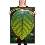 Emerald Veins A Golden Hour Masterpiece Framed Matte, Nature Art Print — 24" × 36" - Image 2
