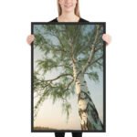 Ascendant Birch | Framed Matte, Nature Art Print - 24" × 36" - Image 2