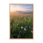 Meadow of First Light Framed Matte Art Print – 24" × 36" - Image 3