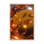 The Primordial Glow Framed Matte Nature Fine Art Print — 24" × 36" - Image 3