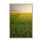 Green Field Landscape Framed Matte, Nature Art Print — 24" × 36" - Image 3
