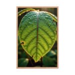 Emerald Veins A Golden Hour Masterpiece Framed Matte, Nature Art Print — 24" × 36" - Image 3