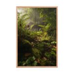 The Sunlit Sanctuary Ancient Ferns | Framed Matte, Nature Art Print - 24" × 36" - Image 3