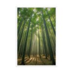 Emerald Bamboo Cathedral Framed Matte Art Print – 24" × 36" - Image 4
