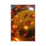 The Primordial Glow Framed Matte Nature Fine Art Print — 24" × 36" - Image 4