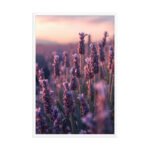 Lavender Twilight Serenity Framed Matte Nature Fine Art Print — 24" × 36" - Image 4