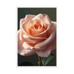 Velvet Petal Framed Matte Nature Fine Art Print — 24" × 36" - Image 4