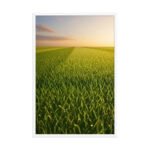 Green Field Landscape Framed Matte, Nature Art Print — 24" × 36" - Image 4