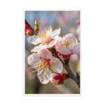 The Spring Awakening | Framed Matte, Nature Art Print - 24" × 36" - Image 4