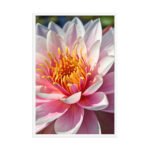 Petals of Light | Framed Matte, Nature Art Print - 24" × 36" - Image 4