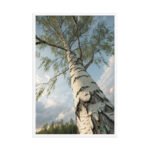 Silver Birch Tree | Framed Matte, Nature Art Print - 24" × 36" - Image 4