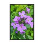 Purple Wildflowers Botanical Study | Framed Matte, Nature Art Print - 24" × 36"