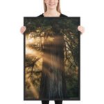 The Ancient One | Framed Matte, Nature Art Print - 24" × 36" - Image 2