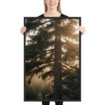 Golden Sunrise Evergreen Tree | Framed Matte, Nature Art Print - 24" × 36" - Image 2