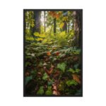 Forest Floor with Ivy and Ferns | Framed Matte, Nature Art Print - 24" × 36"