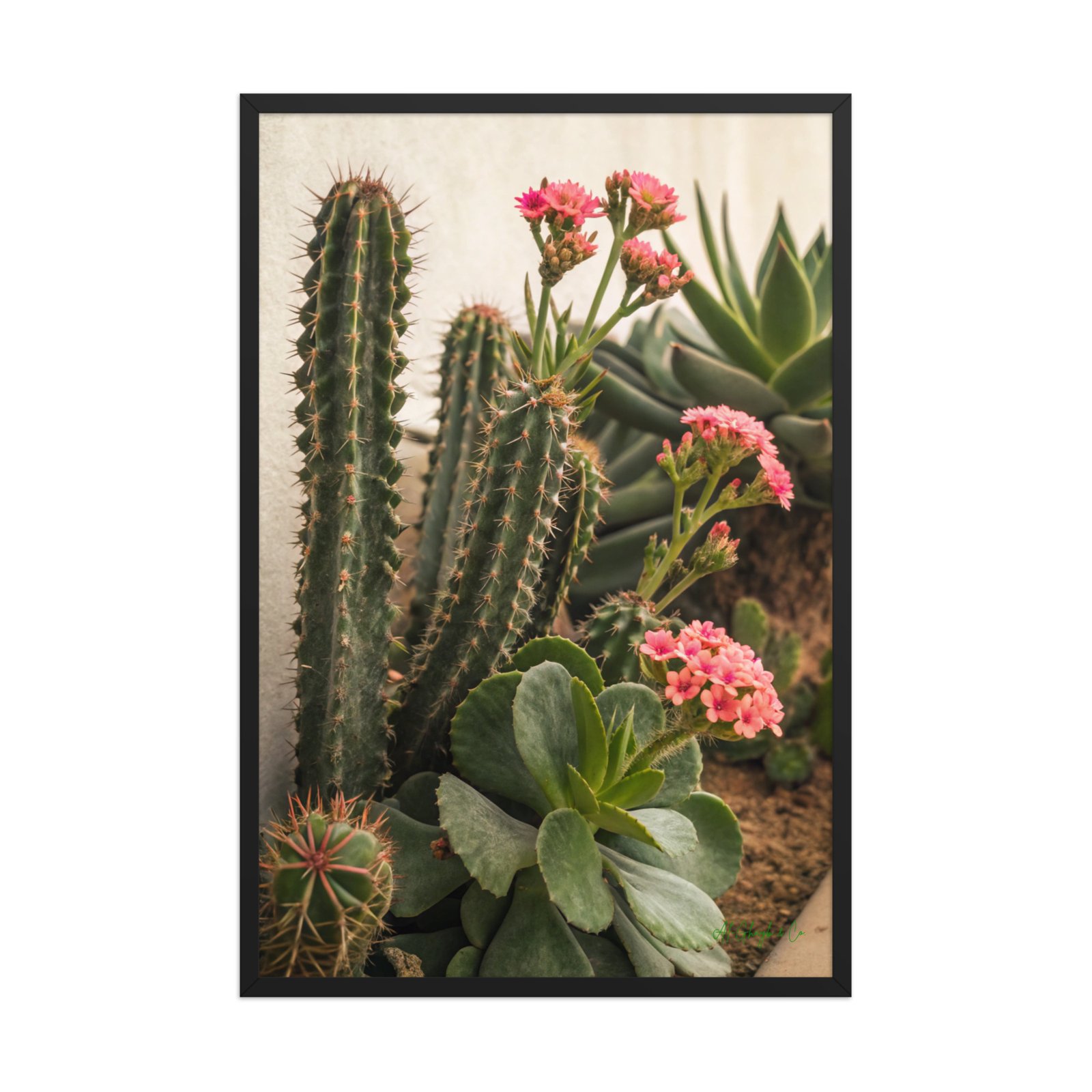 enhanced-matte-paper-framed-poster-in-black-24x36-front-6a5c2fd87d6dd.jpg Desert Bloom | Framed Matte, Nature Art Print - 24" × 36" - Image 1
