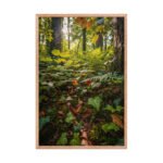 Forest Floor with Ivy and Ferns | Framed Matte, Nature Art Print - 24" × 36" - Image 3