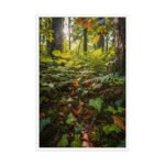 Forest Floor with Ivy and Ferns | Framed Matte, Nature Art Print - 24" × 36" - Image 4
