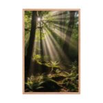 The Ray of Grace | Framed Matte, Nature Art Print - 24" × 36" - Image 3