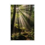 The Ray of Grace | Framed Matte, Nature Art Print - 24" × 36" - Image 4
