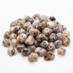 Natural Dendritic Agate Tumbled Stones – 1 lb Bulk Polished Pocket Crystals